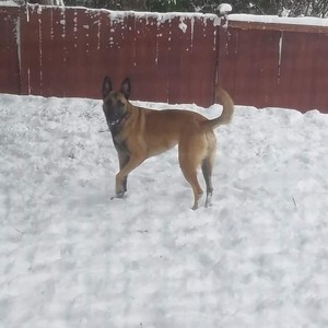 Fundraising Page: Robert Maclay